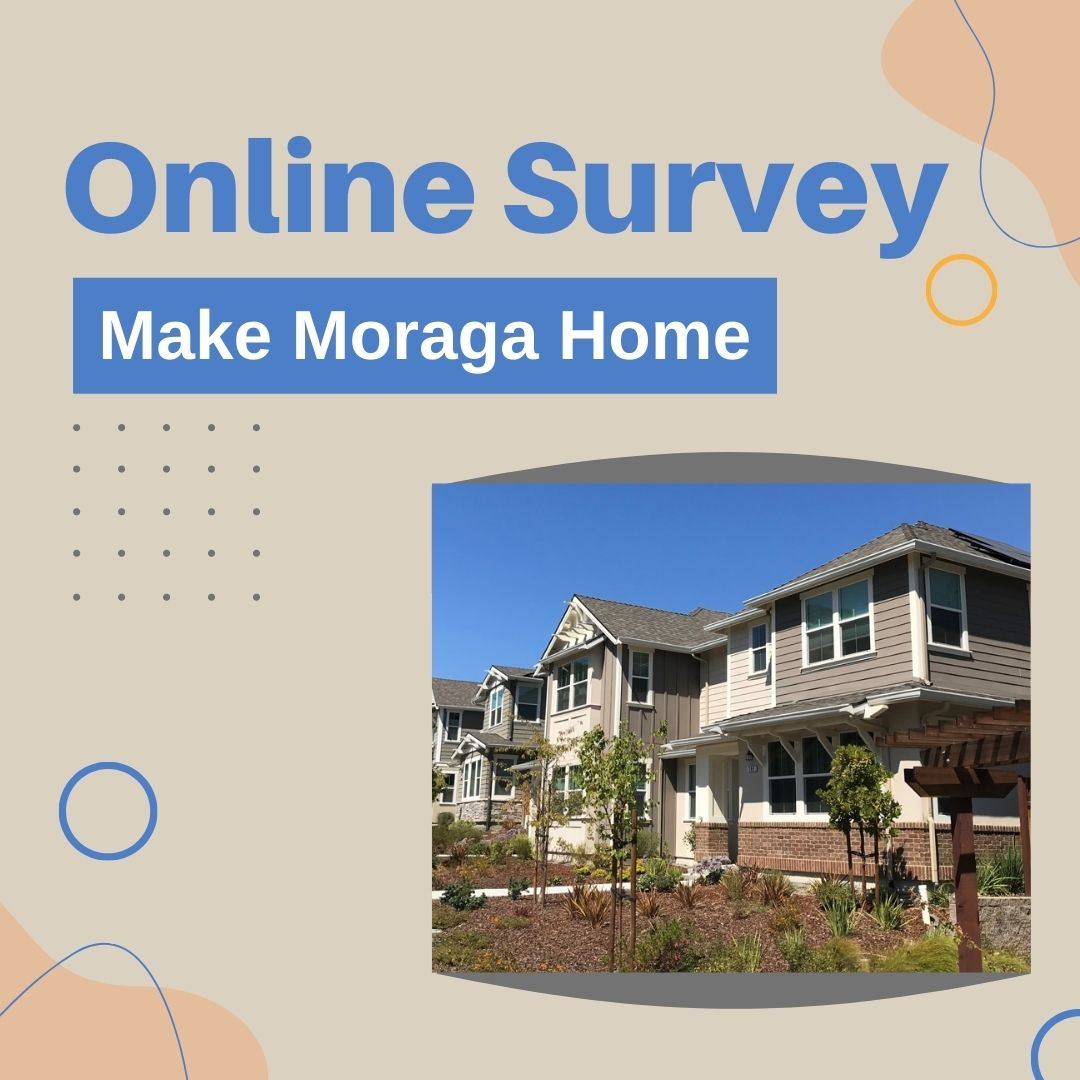 Online Survey
